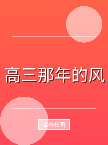 高三那年的风小说封面