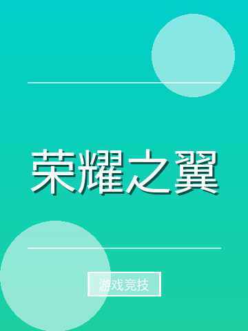 荣耀之翼小说封面
