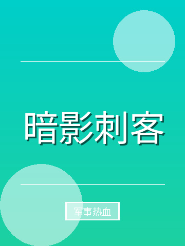 暗影刺客小说封面